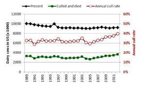 Cow Longevity Economics The Cost Benefit Of Keeping The Cow In The Herd Milkproduction Com