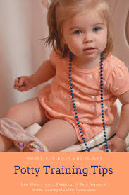Zip baby potty training resources has tons of potty training articles and infomation. Tips For Successful Potty Training The Journey Of Parenthood