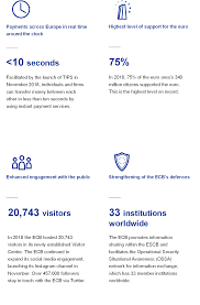 Changes in the value of 1 eurozone euro in leocoin. Annual Report 2018