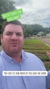 Want to see how we produce Pennsylvania Sedge? Take a look! #NativePlants  #Biodiversity #healthyplanet #pollinators #habitat #lawns