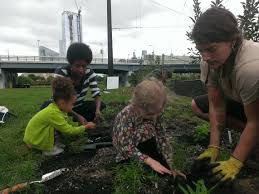 POP 2017 Winter Newsletter