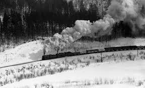 9600 d51石北本線金華 常紋 蒸気機関車 機関車 駅 ホーム