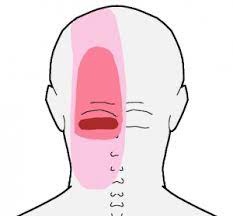 Pain In Back Of Head At Base Of Skull Should I Be Worried