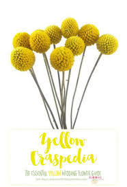 Check spelling or type a new query. Names And Types Of Yellow Wedding Flowers With Pics Flower Tips
