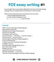 Fce Exam Essay Examples Essay Examples School Essay Essay