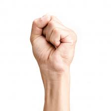 Man Hand Clenched A Fist Isolated On White Background Hand Fist Hands Male Hands