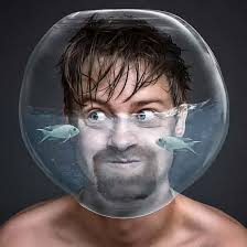 Chris The Fish Guy (@AquariumServiceBusiness) • Facebook