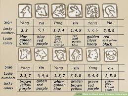 How To Read Your Chinese Horoscope 13 Steps With Pictures Star Sign Compatibility Zodiac Elements Horoscope