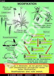 (of terms, contract, wording) → modifizierung f, → modifikation f; Mutation Modifikation Av Medien Onlineshop