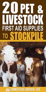 20 Pet Livestock First Aid Supplies To Stockpile Homesteading Animals Livestock Farm Animals