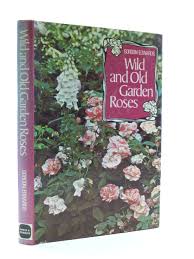 Numerous cultivars have been produced, especially over the last two centuries, though roses have been known in the garden for millennia beforehand. Wild And Old Garden Roses Edwards Gordon Amazon De Bucher