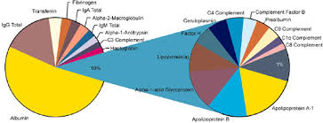 Human Physiology Blood Body Defenses