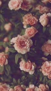 The History Of Flower Wallpaper Tumblr Flower Wallpaper Tumblr Https Ift Tt 2ku03uq Tumblr Flower Flower Aesthetic Flower Phone Wallpaper