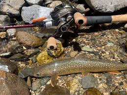 ソロキャンブログ