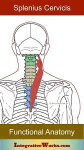 Neck Ache Headache Eye Ache Integrative Works Neck Spasms Headache Behind Eyes Neck Ache