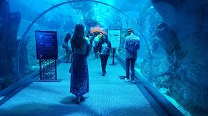 Dubai Aquarium