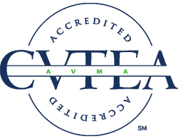 Accredited Vet Tech Program Online Ashworth College