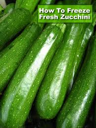 How to use frozen zucchini slices. How To Freeze Zucchini