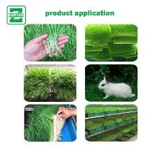Check spelling or type a new query. Hydroponic Fodder Processing System Barley Grass Growing Machine Fodder Production Buy Horse Fodder Machine Fodder Solutions Fodder Hydroponics System Product On Alibaba Com