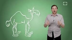 It is this fat that they live off when food and water are scarce. Do The Humps On Camels Hold Water Howstuffworks