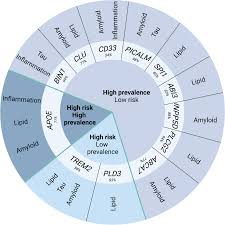 Alzheimer's genes in microglia: a risk worth investigating