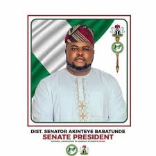 NANS SENATE PRESIDENT. (@iambabtee) / X