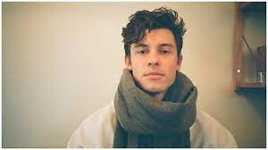 intro am f c g. Kisah Tato Baru Shawn Mendes Yang Bergambar Kupu Kupu Terinspirasi Dari Penggemarnya Halaman All Tribun Palu