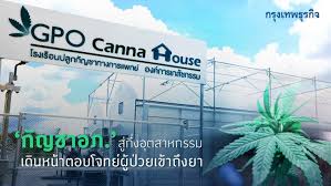 องค์การเภสัชกรรม อ.หนองใหญ่ จ.ชลบุรี วาระ 6.1 เรื่อง โครงการผลิตสารสกัดต้นแบบกัญชาทางการแพทย์ à¸­à¸‡à¸„ à¸à¸²à¸£à¹€à¸ à¸ª à¸Šà¸à¸£à¸£à¸¡ à¹€à¸ž à¸¡à¸à¸³à¸¥ à¸‡à¸œà¸¥ à¸• à¸ž à¸™à¸— à¸›à¸¥ à¸ à¸ à¸à¸Šà¸² à¸­ à¸à¸à¸§ à¸²32à¹€à¸— à¸²