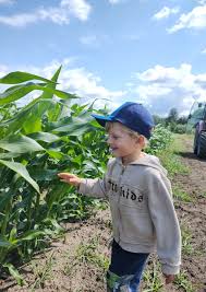 Kolejny zadowolony rolnik przesyła zdjęcia