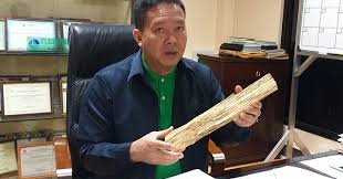 Philippines finest hardwood furniture creates and design state of the arts drift wood and old wood. Liquid Gold Rush Endangers Region 8 Forest Denr Philippine News Agency