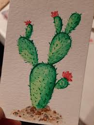 Today i'll be drawing a group of cactus plants. I Ve Discovered How Fun It Is To Paint Little Cacti This Is My First One Watercolor