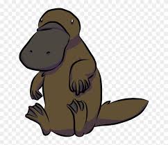 Platypus Beaver Animal Cartoon Drawing Platypus Beaver Animal Cartoon Drawing Free Transparent Png Clipart Images Download Probably the cutest thing i ever made. platypus beaver animal cartoon drawing