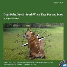 Also, here's a collection of 4k dog wallpapers. Dogs Point North South When They Pee And Poop Ethology Institute