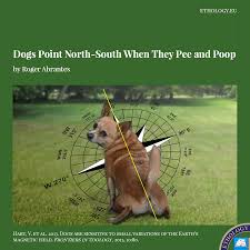 Find the best dog wallpapers for computer on getwallpapers. Dogs Point North South When They Pee And Poop Ethology Institute