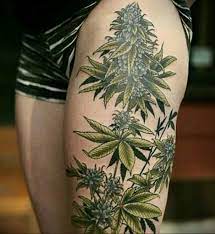 Malibu tan hemp tattoo enhancing body moisturizer, 12 fl oz: Hemp Leg Tattoo 30 09 2019 001 Hemp Marijuana Tattoo Tattoovalue Net Tattoovalue Net