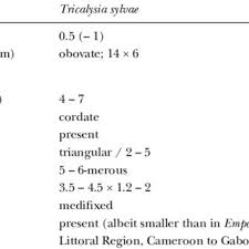 Image result for Sericanthe leonardii