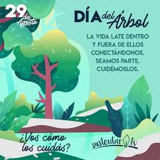 El heraldo reconstruye el drama de 5 municipios del sur del atlántico donde sus habitantes siguen golpeados por los estragos de la. 29 De Agosto Dia Nacional Del Arbol Sustentartv