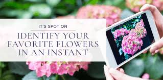 We did not find results for: Flower Id Apps You Should Have If You Love Flowers Busch S Florist Greenhouse