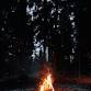 Young Adults- Potluck & Bonfire — Essex Gospel event image