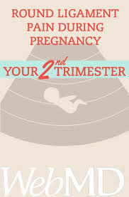 Pin On Pregnancy Second Trimester