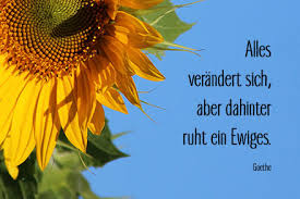 Dankesschreiben Trauer Und Abschied Mit Sprüchen Und