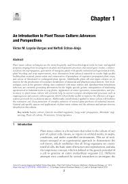 Plant cell and tissue culture for basic research and practical. Pdf An Introduction To Plant Tissue Culture Advances And Perspectives