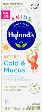 Hyland'S 4Kids Cold & Cough Daytime Syrup - Grape, 4 Fl Oz