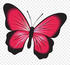 Undangan pernikahan animasi videoscribe sparkol terbaru 2019 (wedding invitation). Butterfly Pink Clip Art Insect Nature Natural Gambar Kupu Kupu Warna Merah Png Download 84540 Pinclipart