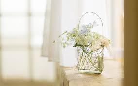 رقيقة للتصميم والفوتوشوب خلفيات كيوت هادية 20130122114966246624 online flower shop most beautiful flowers flower vases
