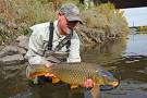 Fly-fishing for carp : Carp fly-fishing tips with The Carpfather