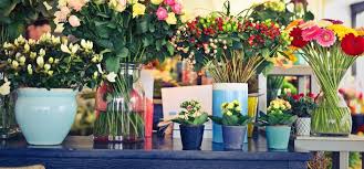 We always dream of the horizon of a wonderful rose garden, not to enjoy today in our window open rose. Different Types Of Flower Pots Seasonal Preferences