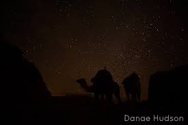 Other physical adaptations of the camel include wide feet for walking through the desert, long eyelashes to protect. Camel By Night Trek Bedouin Directions