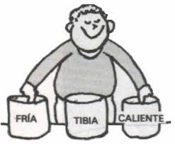 Resultado de imagen para equilibrio termico