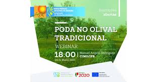 The channel sic followed the actor's long process of overcoming! Webinar Poda No Olival Tradicional 4 De Marco Agroportal